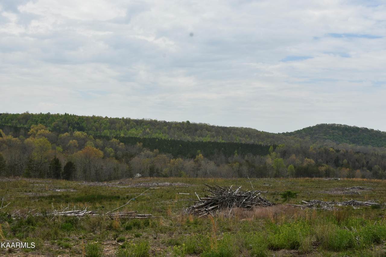 Lowe Rd - Photo 1