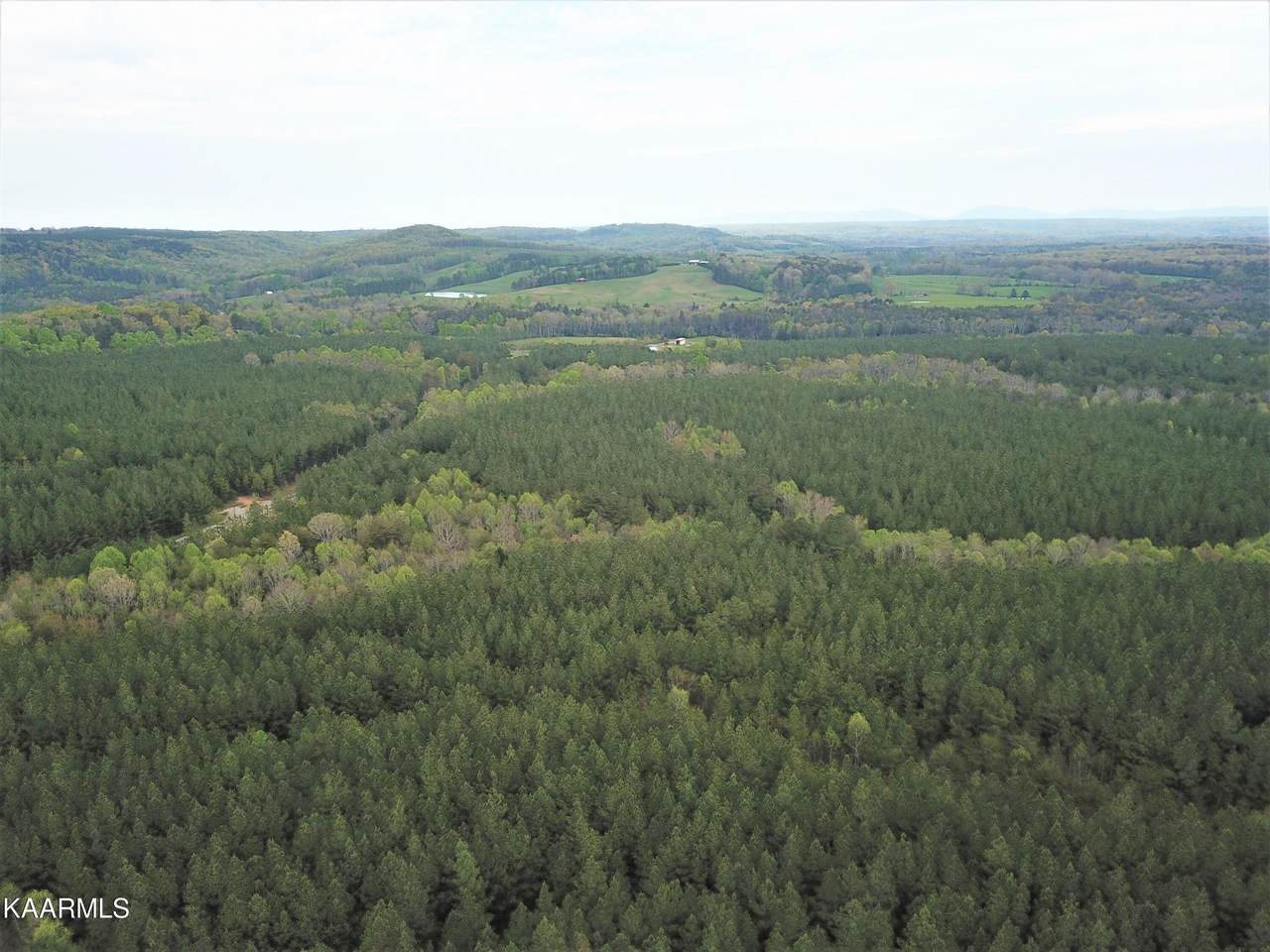 Newton Rd - Photo 1