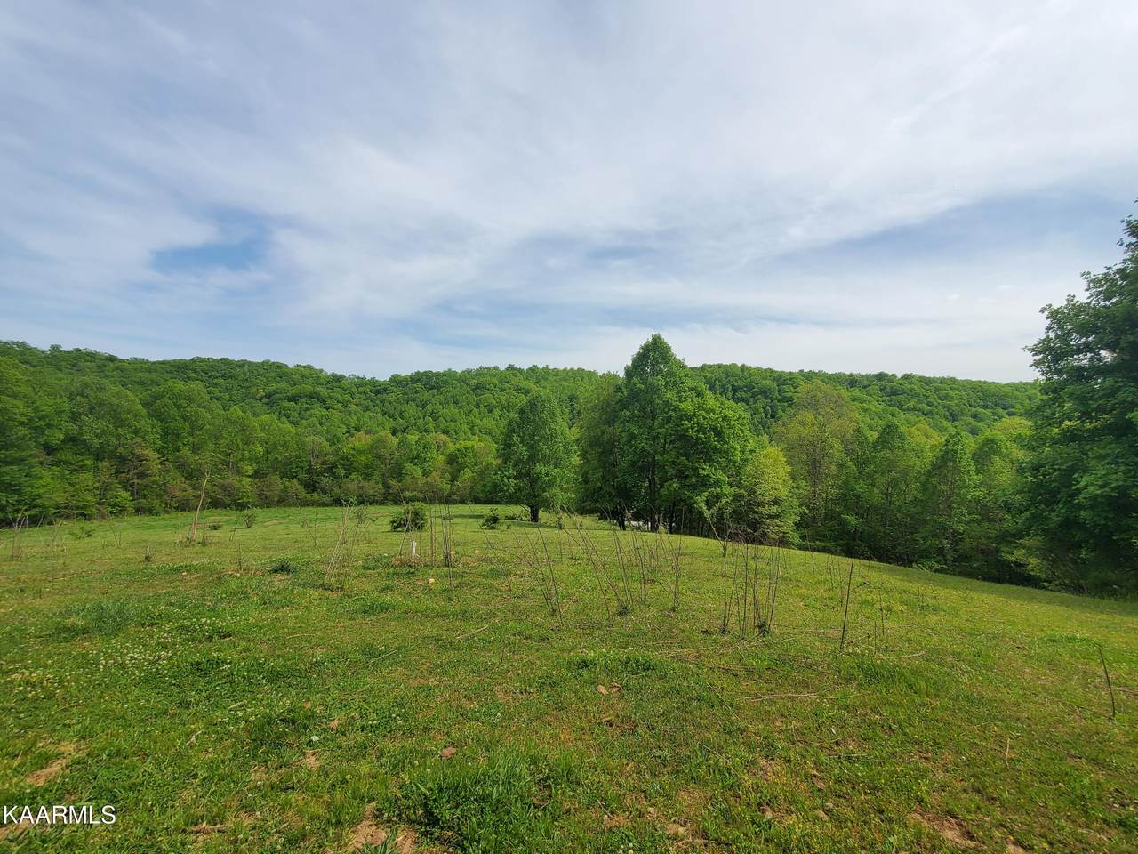 Hubbard Springs Rd - Photo 1