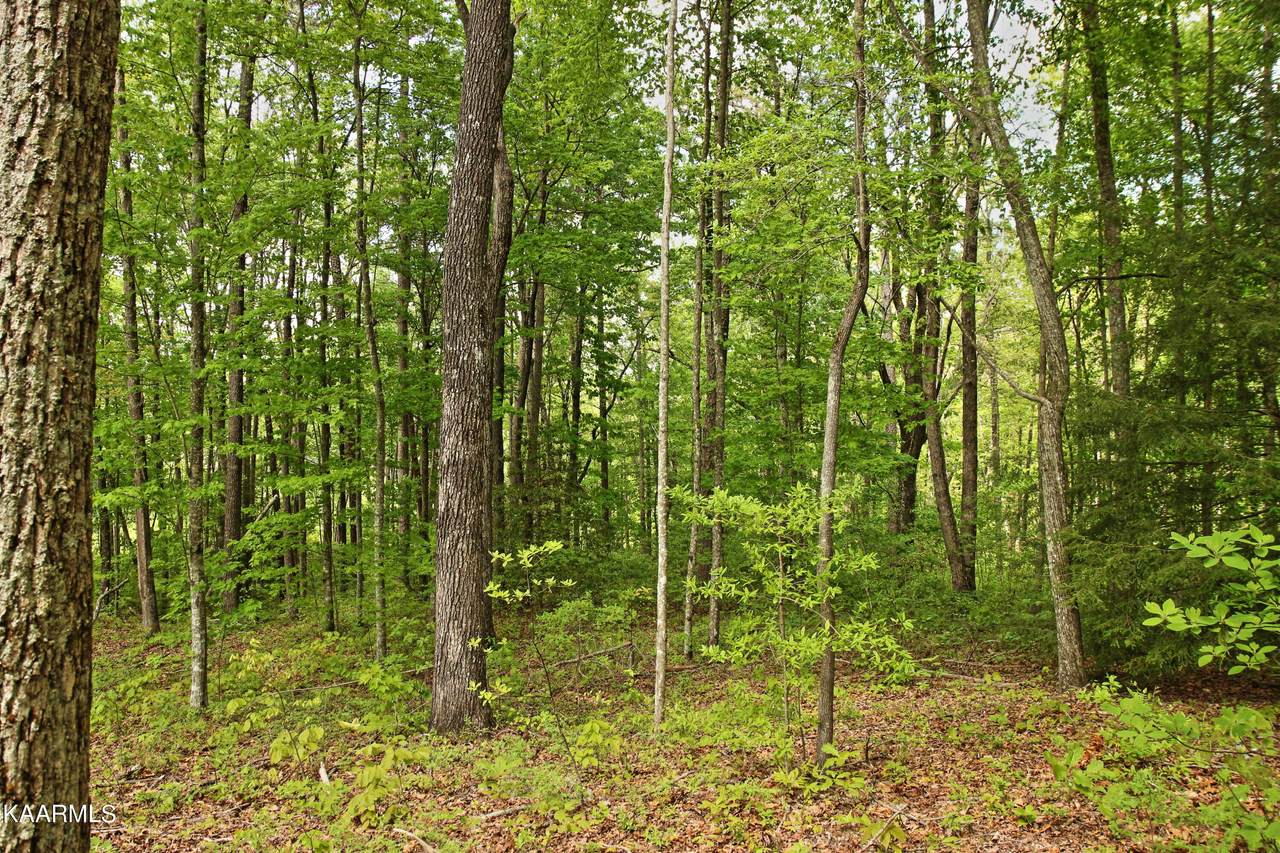 lot 17 Emerald Drive - Photo 1