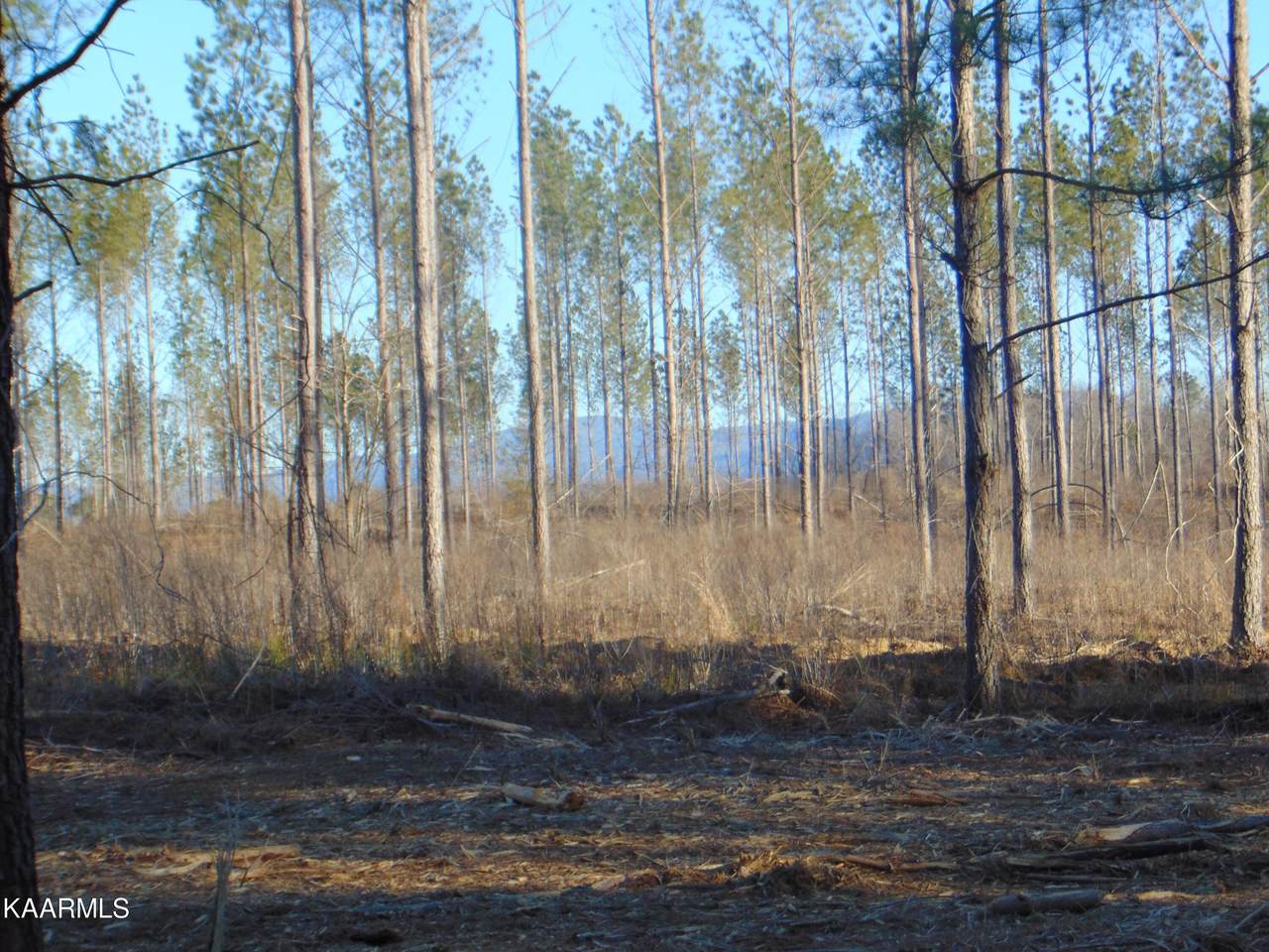 Tract 2 Hughes Lake Road Se - Photo 1