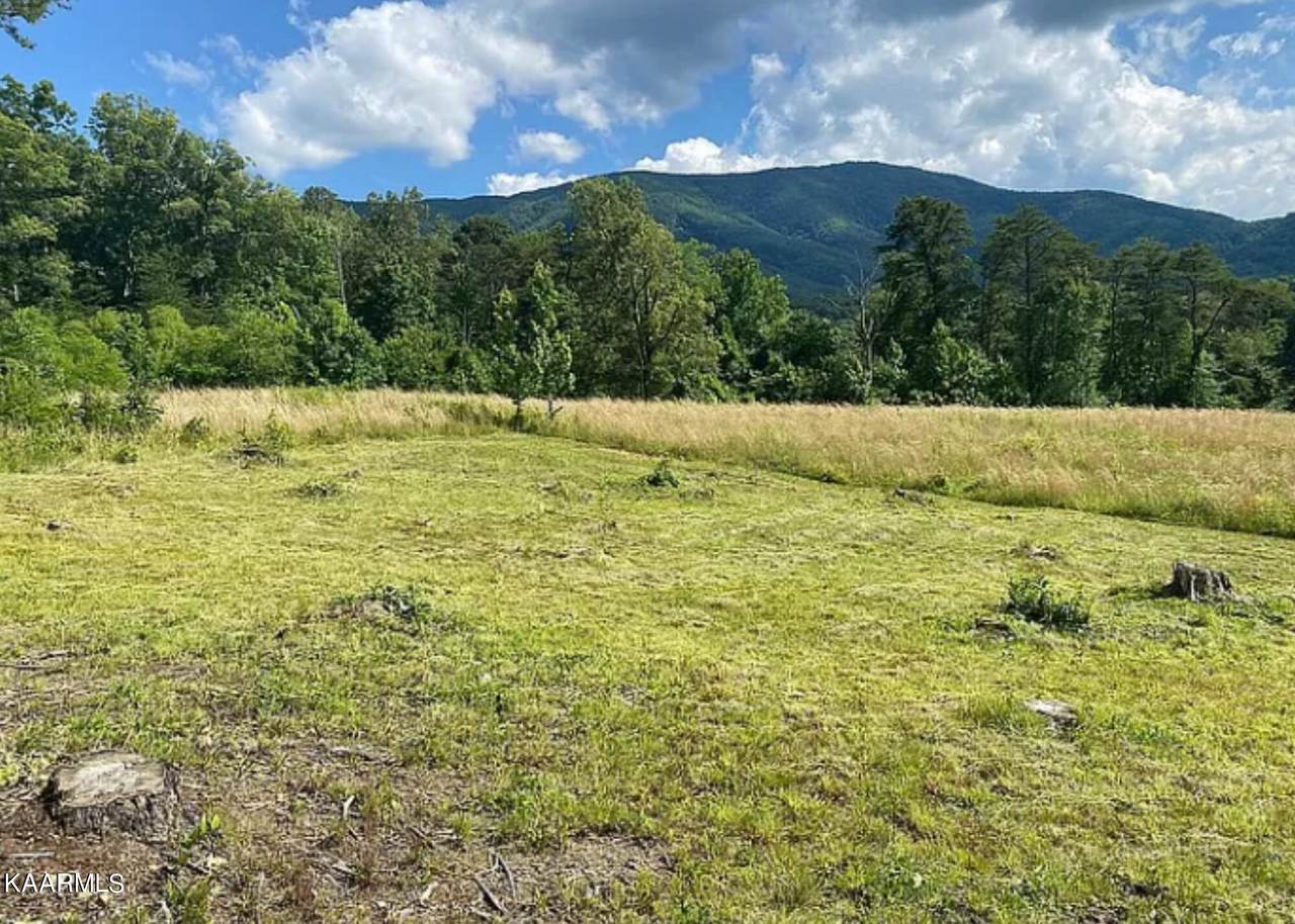 2773 Clabo Rd - Photo 1