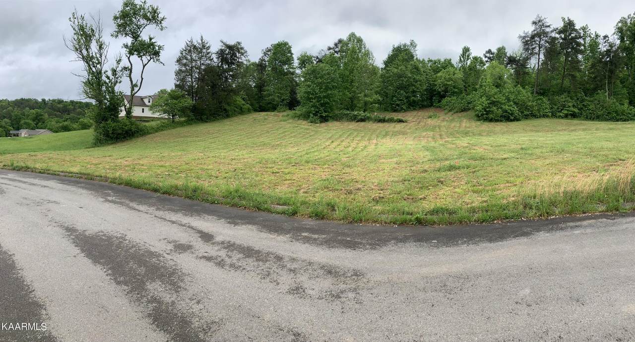Briar Ridge Lane - Photo 1
