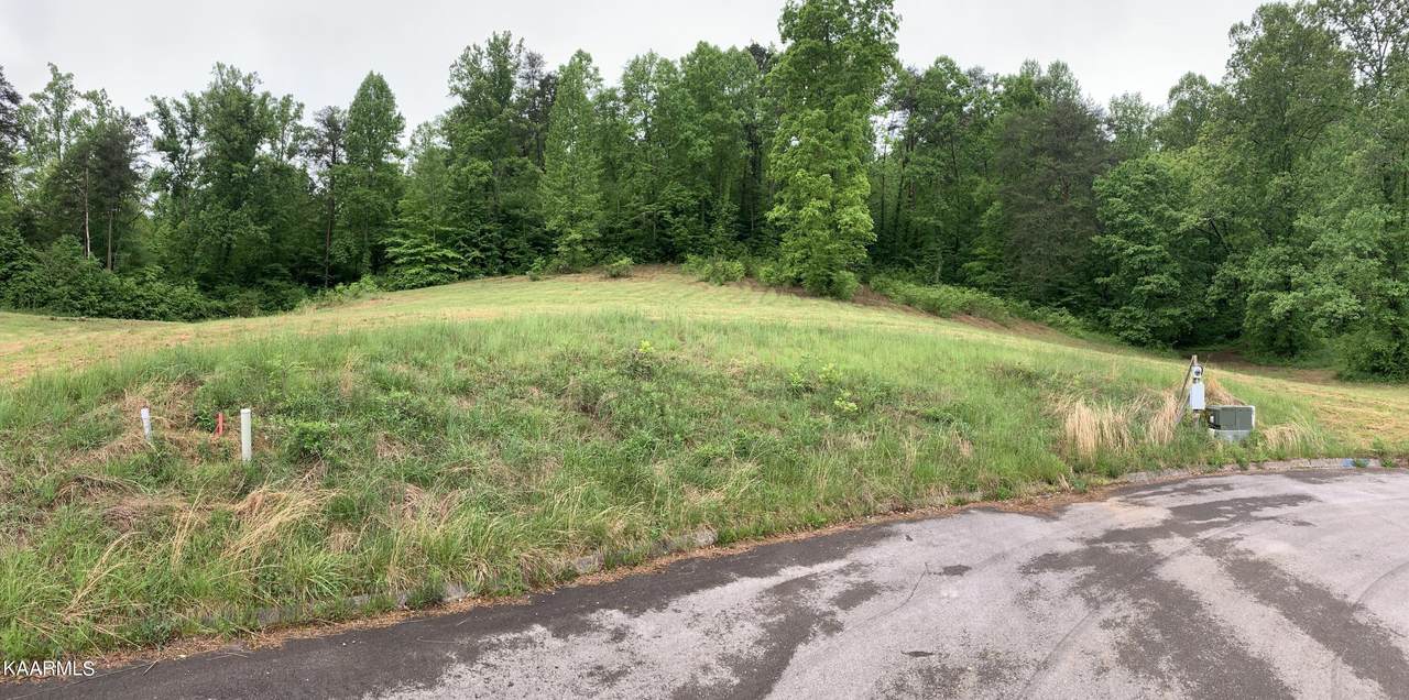 Briar Ridge Ln Lane - Photo 1