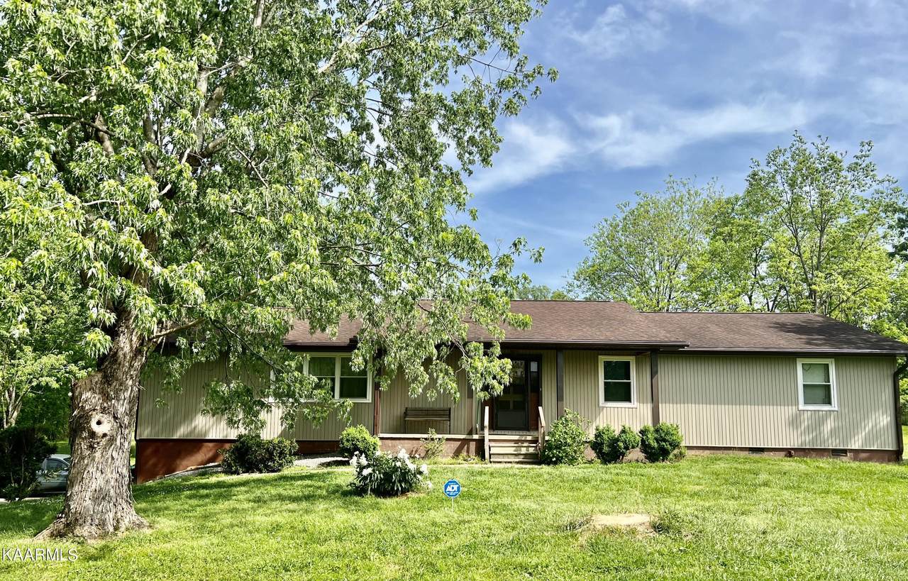 110 Doris Lane - Photo 1