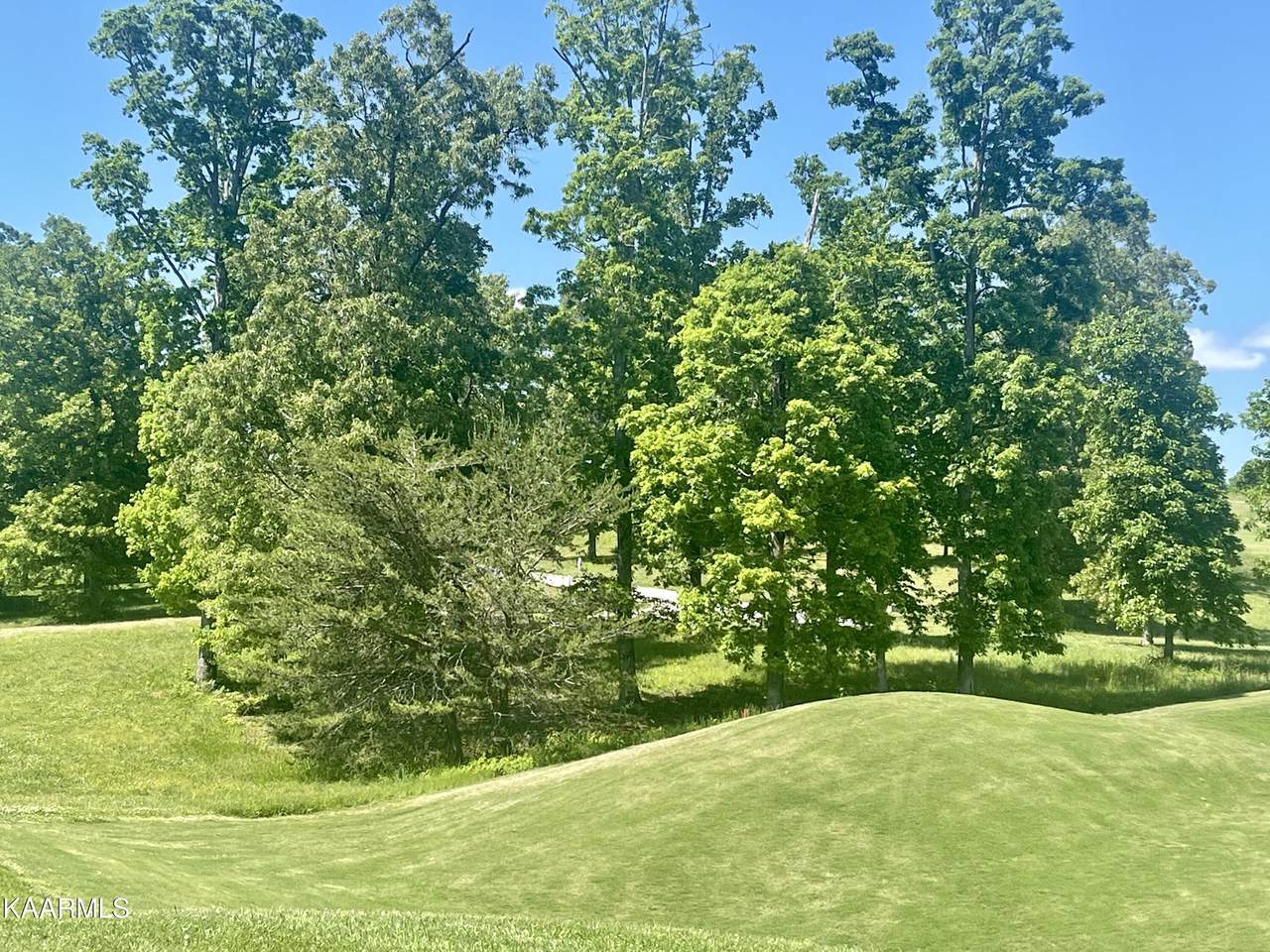 898 Gallery Court - Photo 1