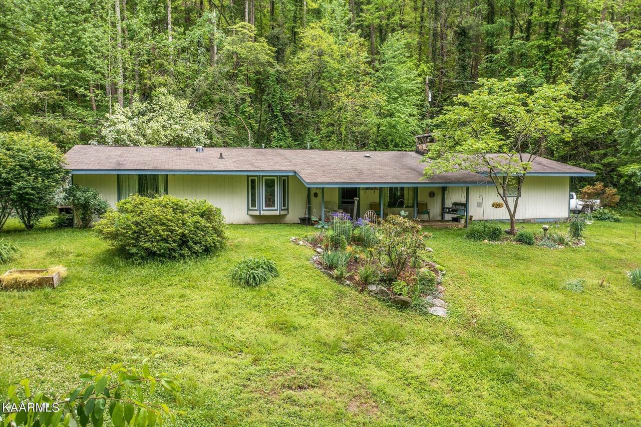 140 Beech Branch Rd - Photo 1