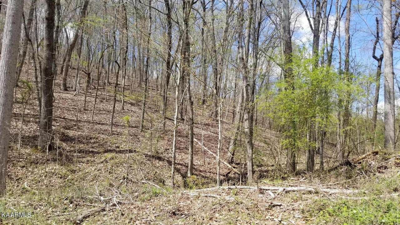 Lot 286 Maple Drive - Photo 1