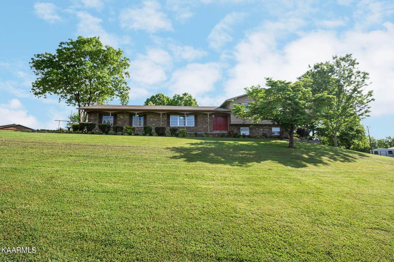 517 Dogwood Drive - Photo 1