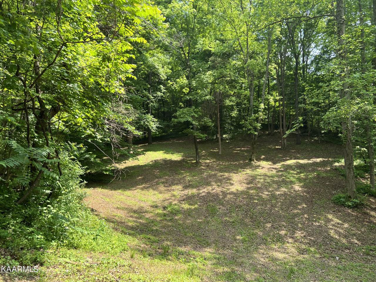 5.34 AC Hill Top Court - Photo 1