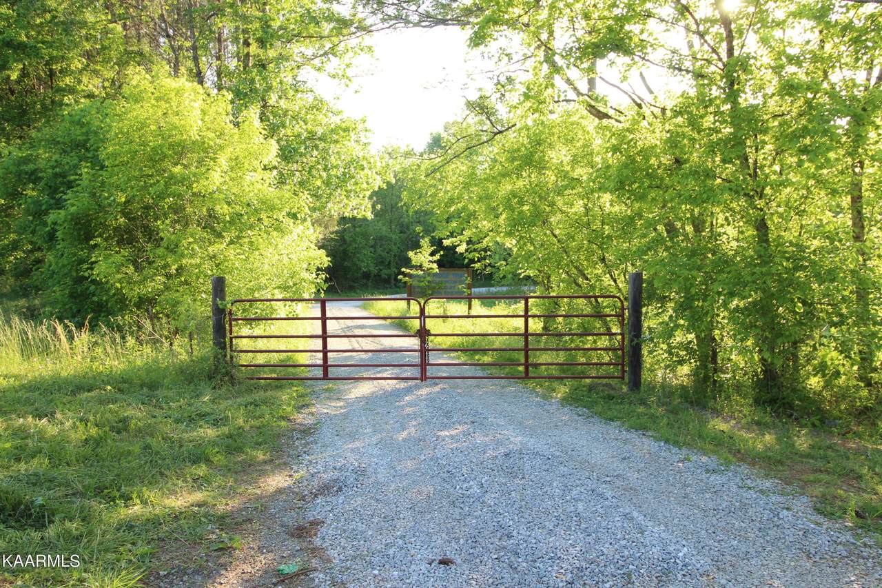 Tract 2 Dogtown Rd - Photo 1