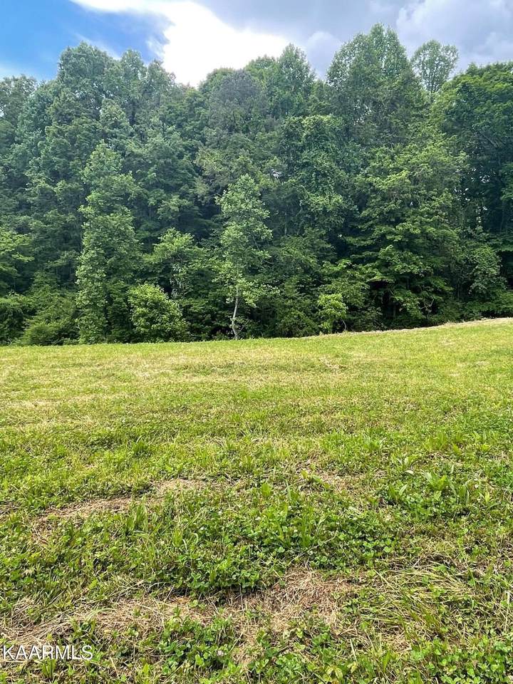 8339 Shade Weaver Rd - Photo 1