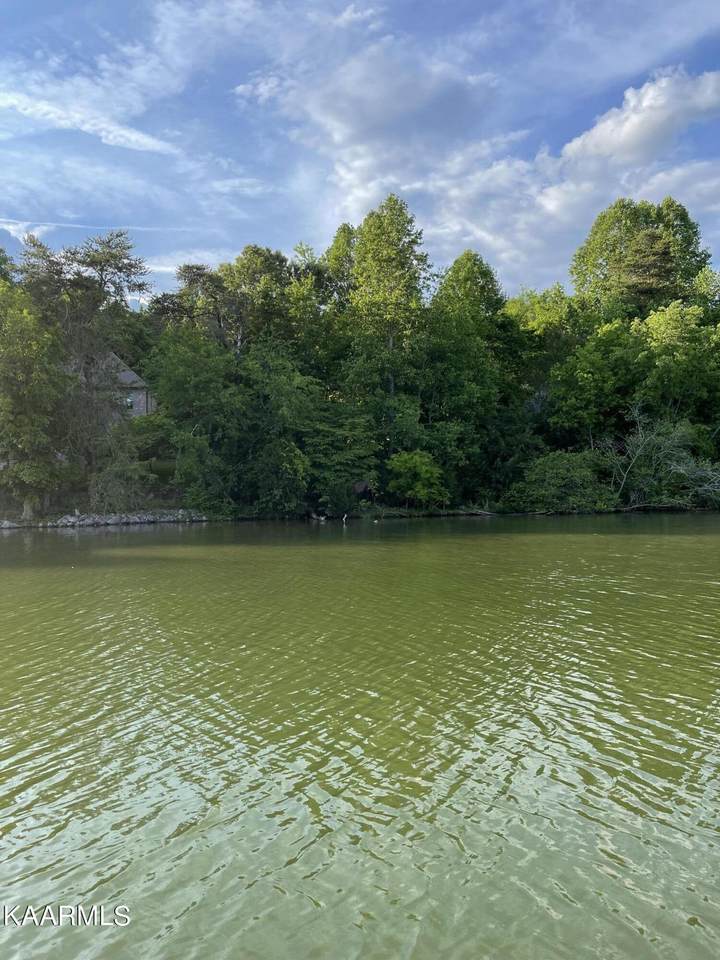 430 Marsh Hawk Dr Drive - Photo 1