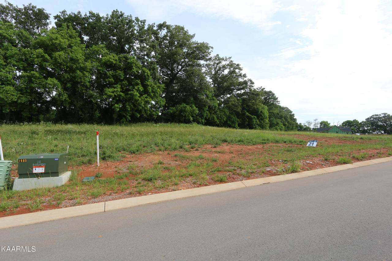 5731 Mountain Vista Lane - Photo 1