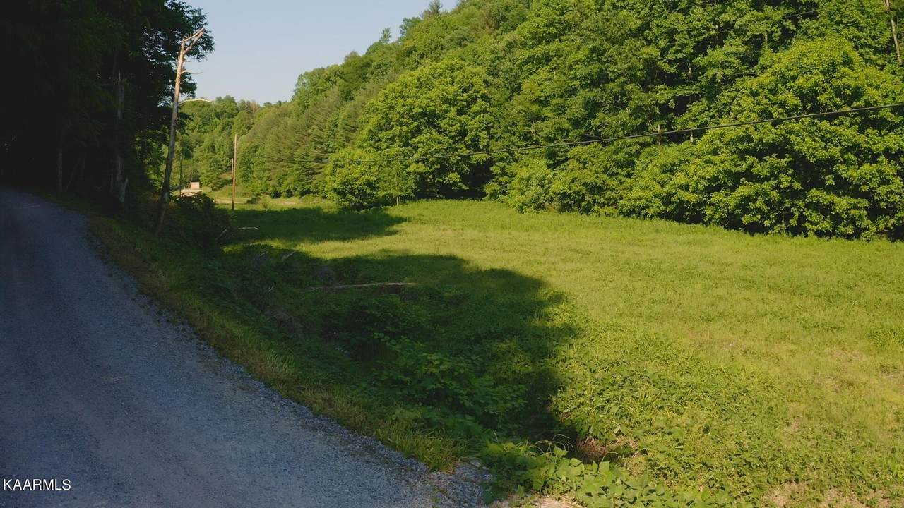 24.98 Acre Bull Mountain Rd - Photo 1