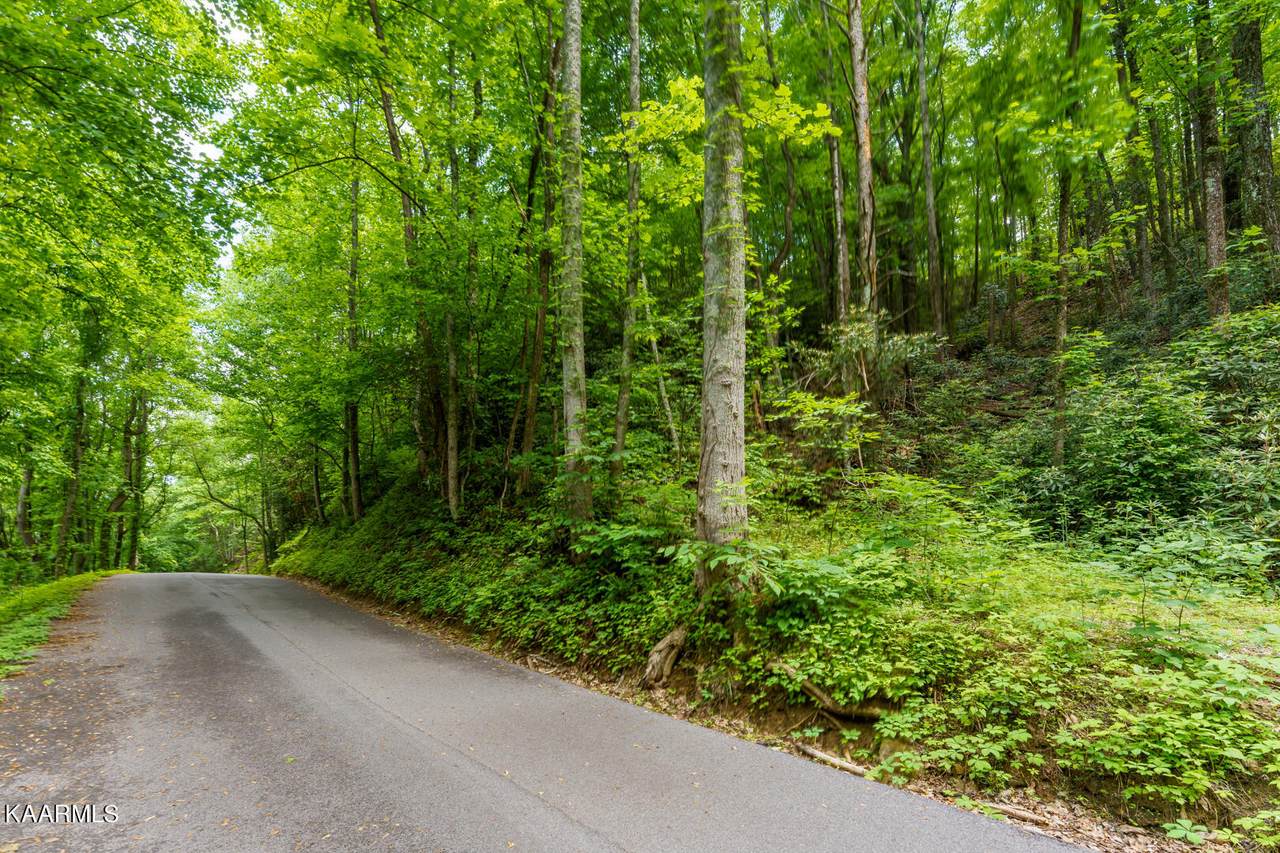 Lot 8 Zurich Rd - Photo 1