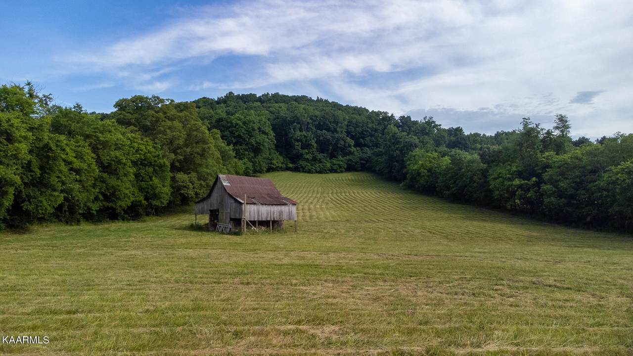 Tract 4 County House Rd - Photo 1