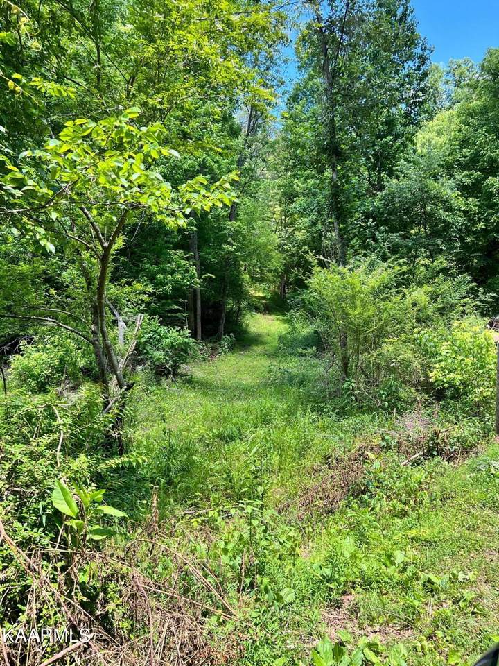 385 Acorn Gap Rd - Photo 1