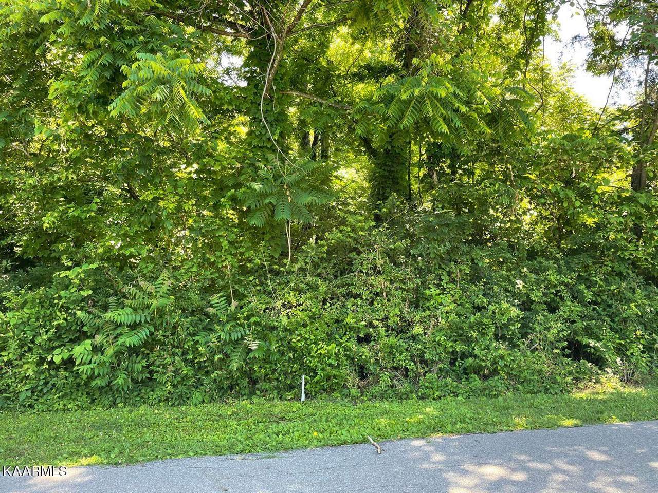 Cliffwood Drive - Photo 1
