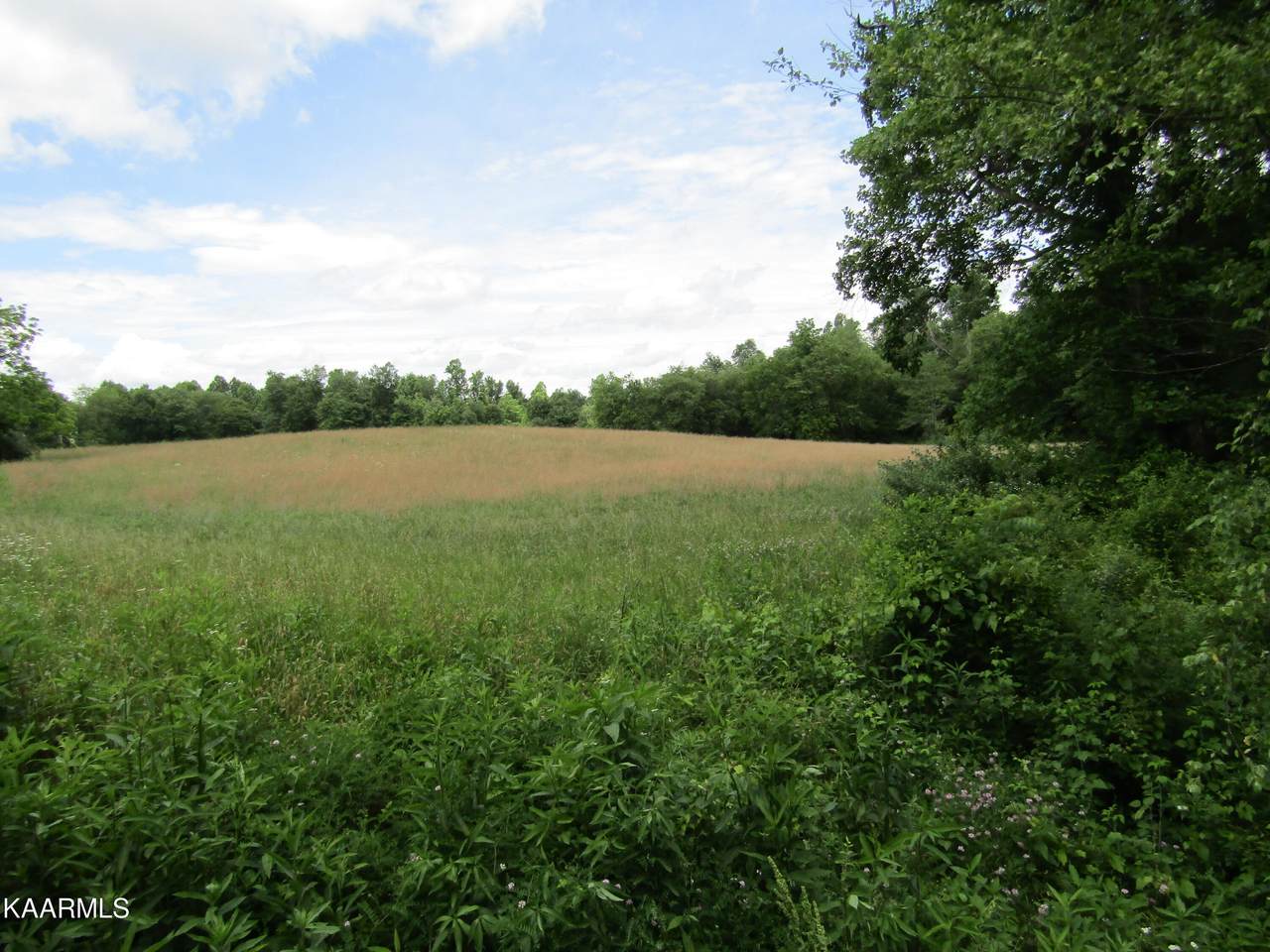Lot 1 Nydeck Road - Photo 1