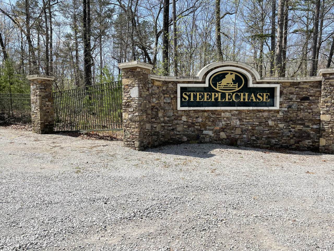 Steeplechase Drive - Photo 1
