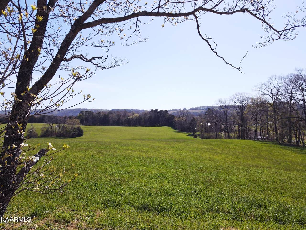 530 County Road 267 - Photo 1