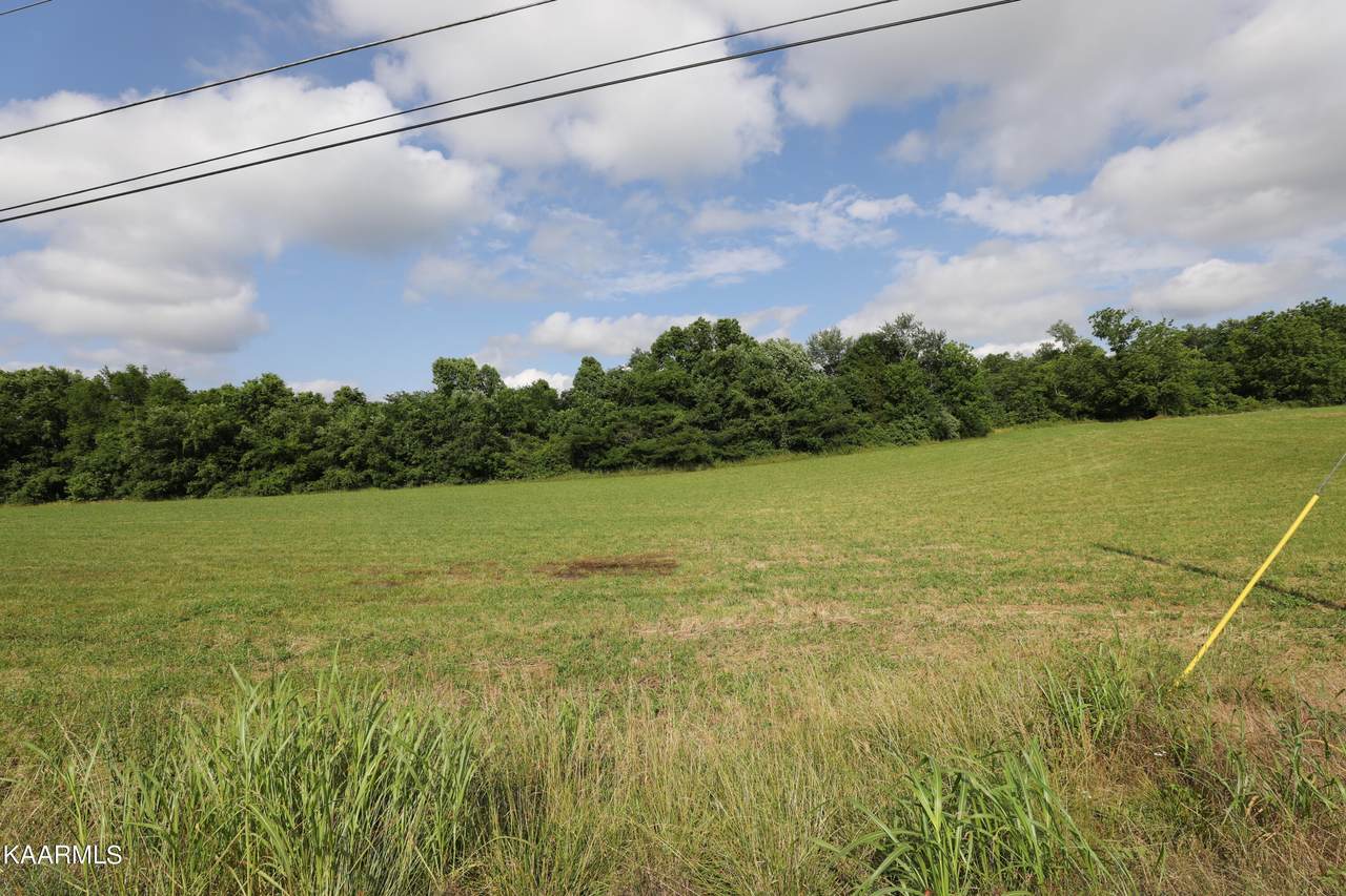 Lot 11 Hiwassee Rd - Photo 1