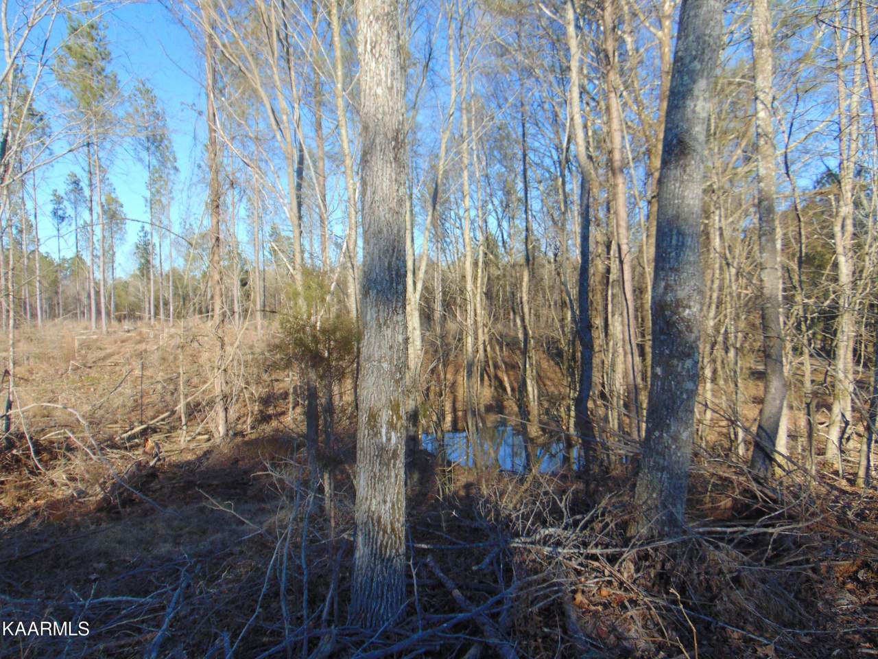 Tract 13 Hallowed Hills Lane - Photo 1