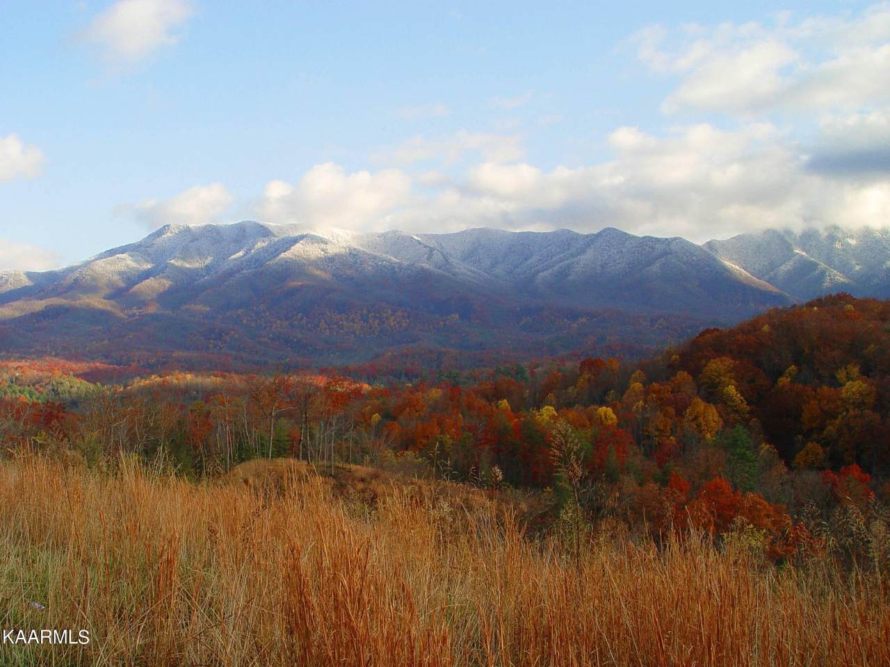 Lot 27 Sonshine Ridge Rd - Photo 1