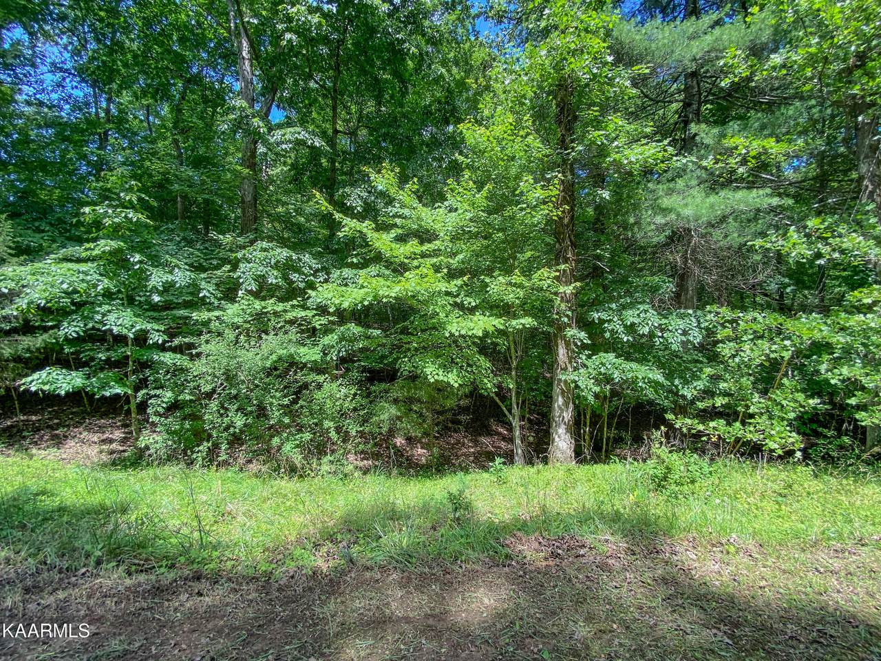Lot 99 Pin Oak Rd - Photo 1