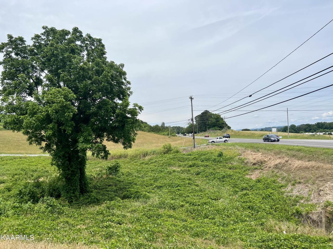 Snodgrass Rd - Photo 1