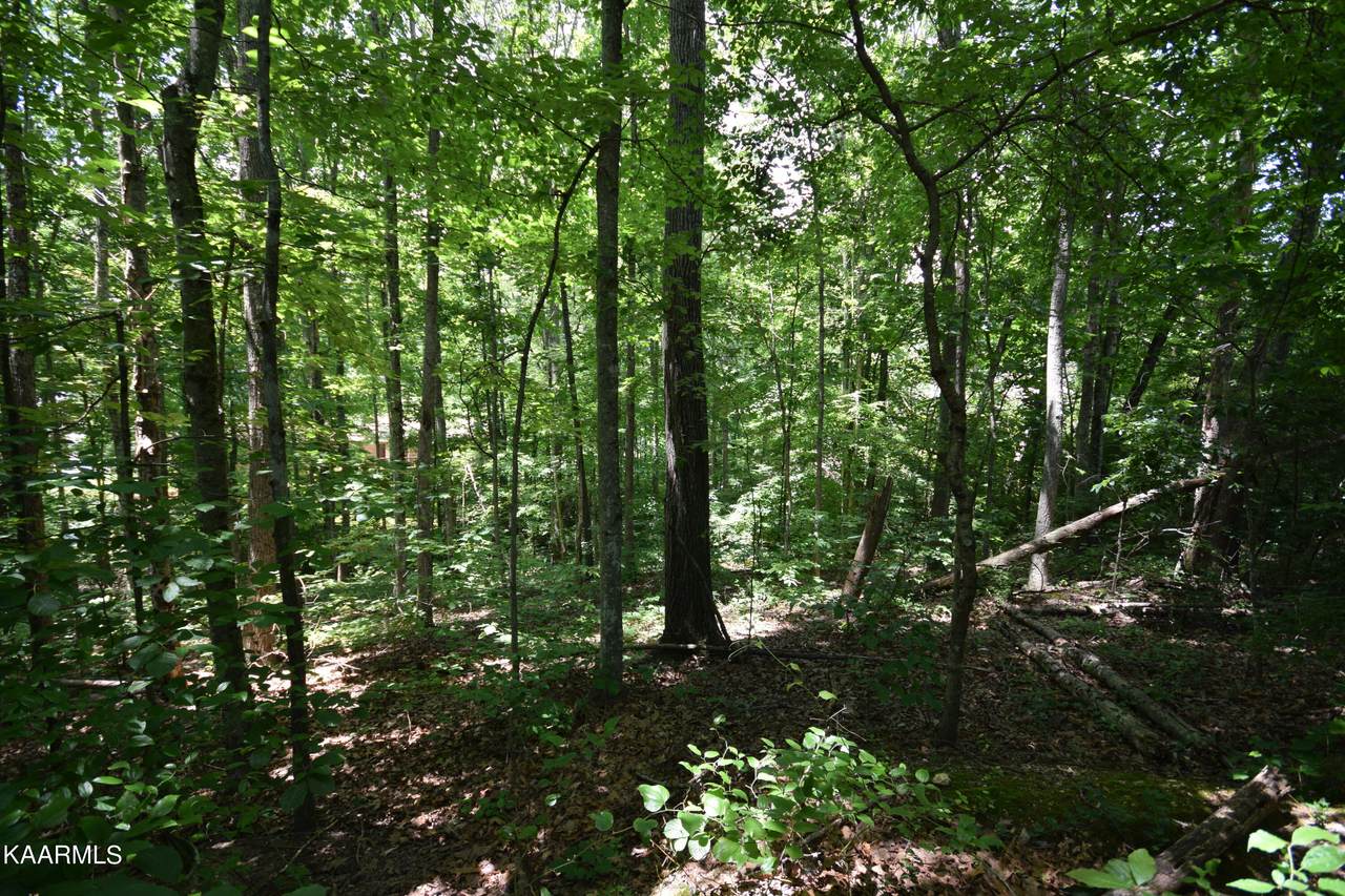 7509 Wickam Rd - Photo 1