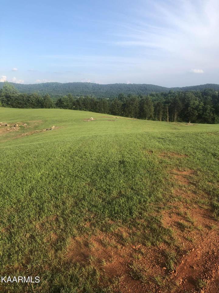 Pinto Ridge Drive - Photo 1
