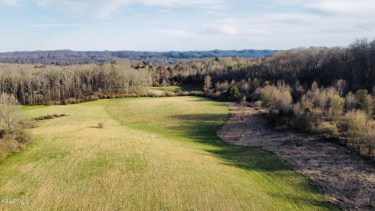 Alley Rd. 3.52 Acres(Lot #2) - Photo 1