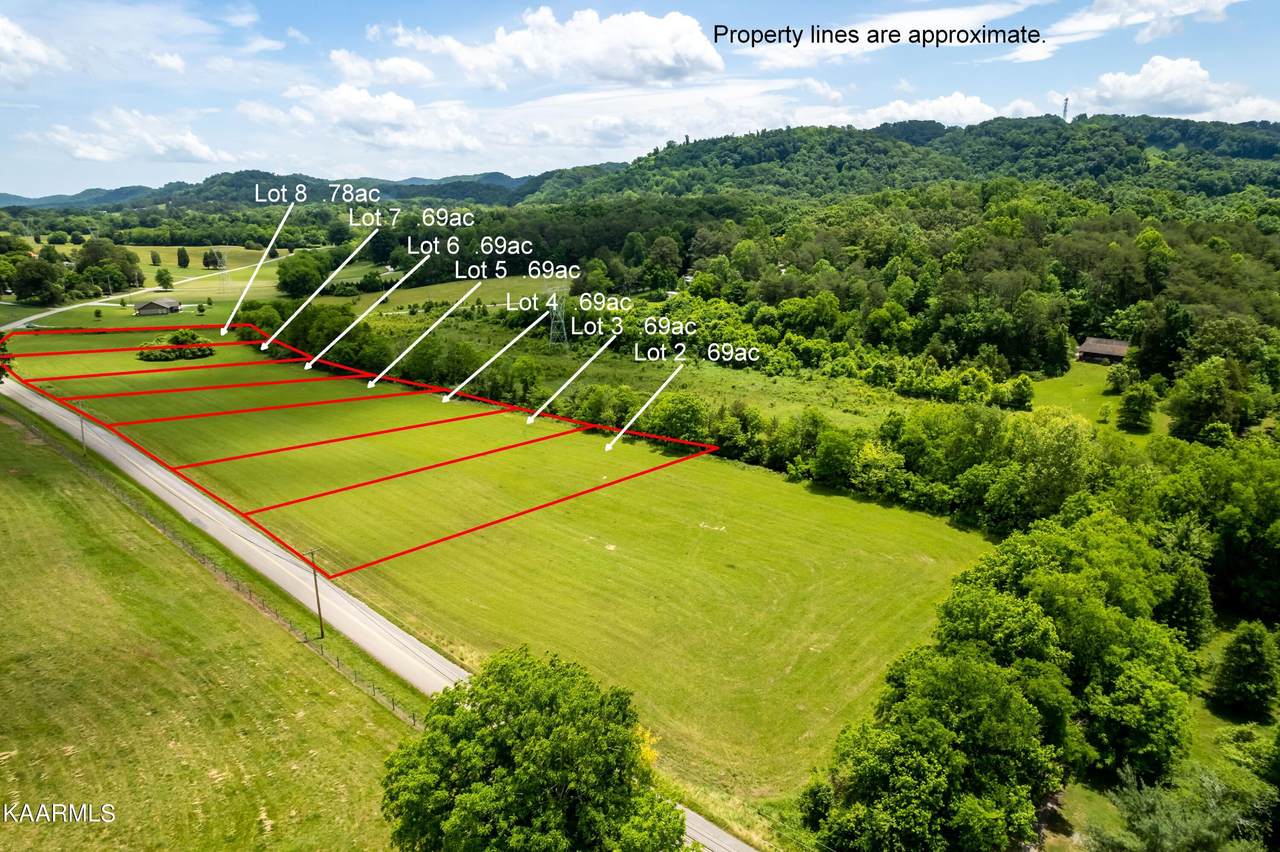 Lot 2 Roddy Branch Rd - Photo 1