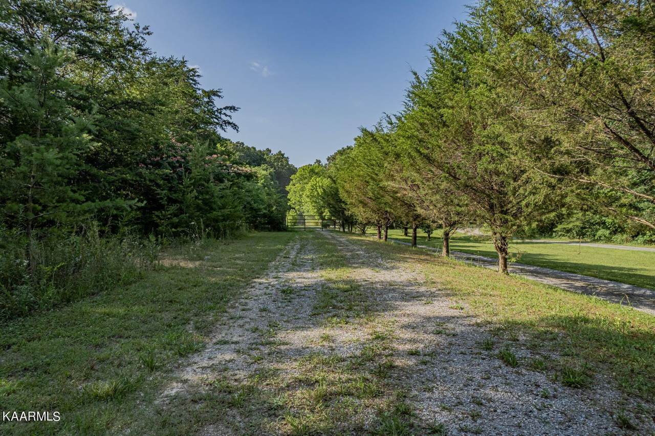 215 County Road 756 - Photo 1