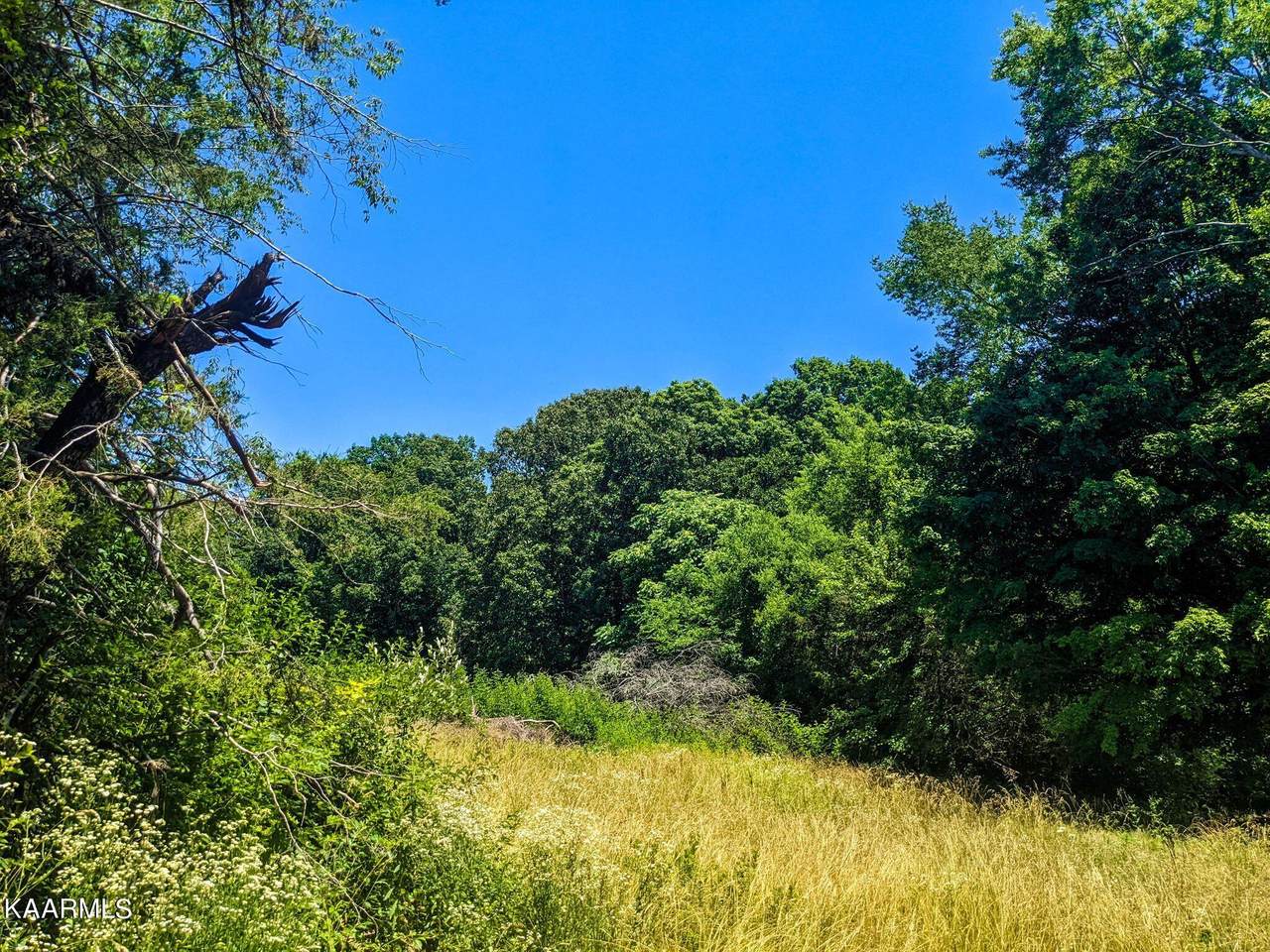 912 County Rd 267 - Photo 1