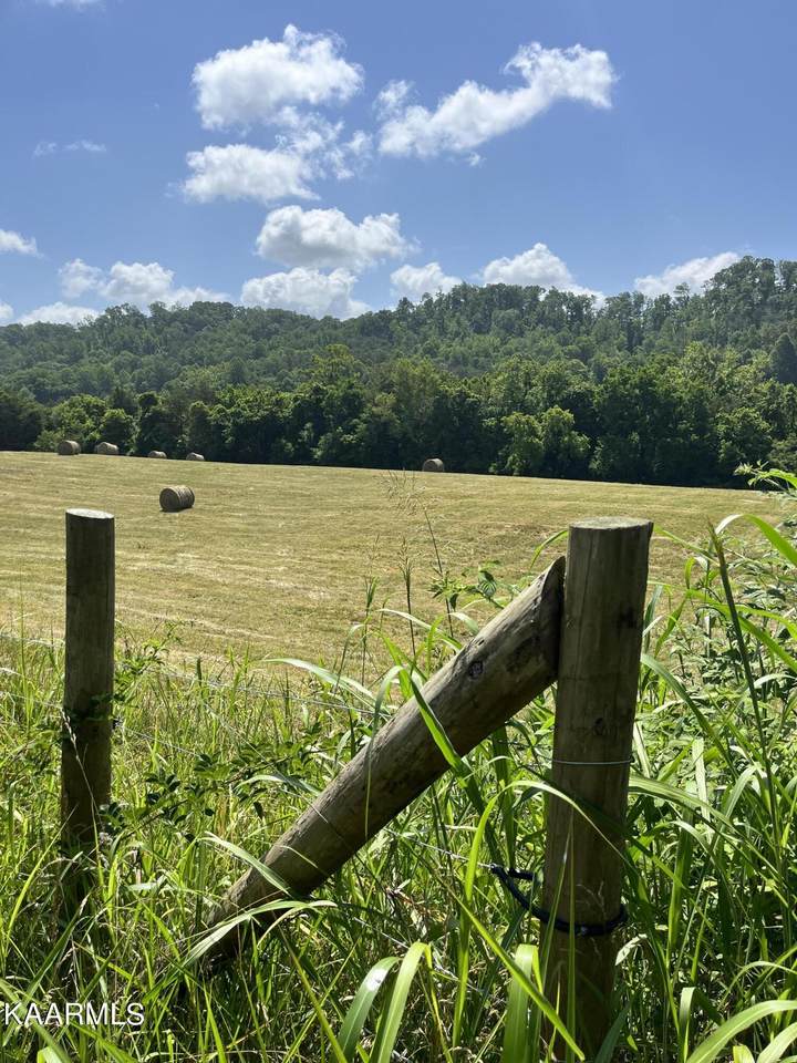Old Hickory Valley Rd - Photo 1