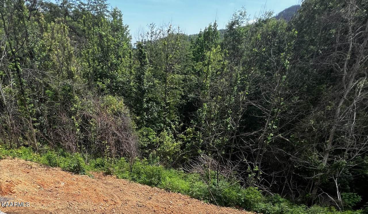 2334 Grey Fox Run - Photo 1