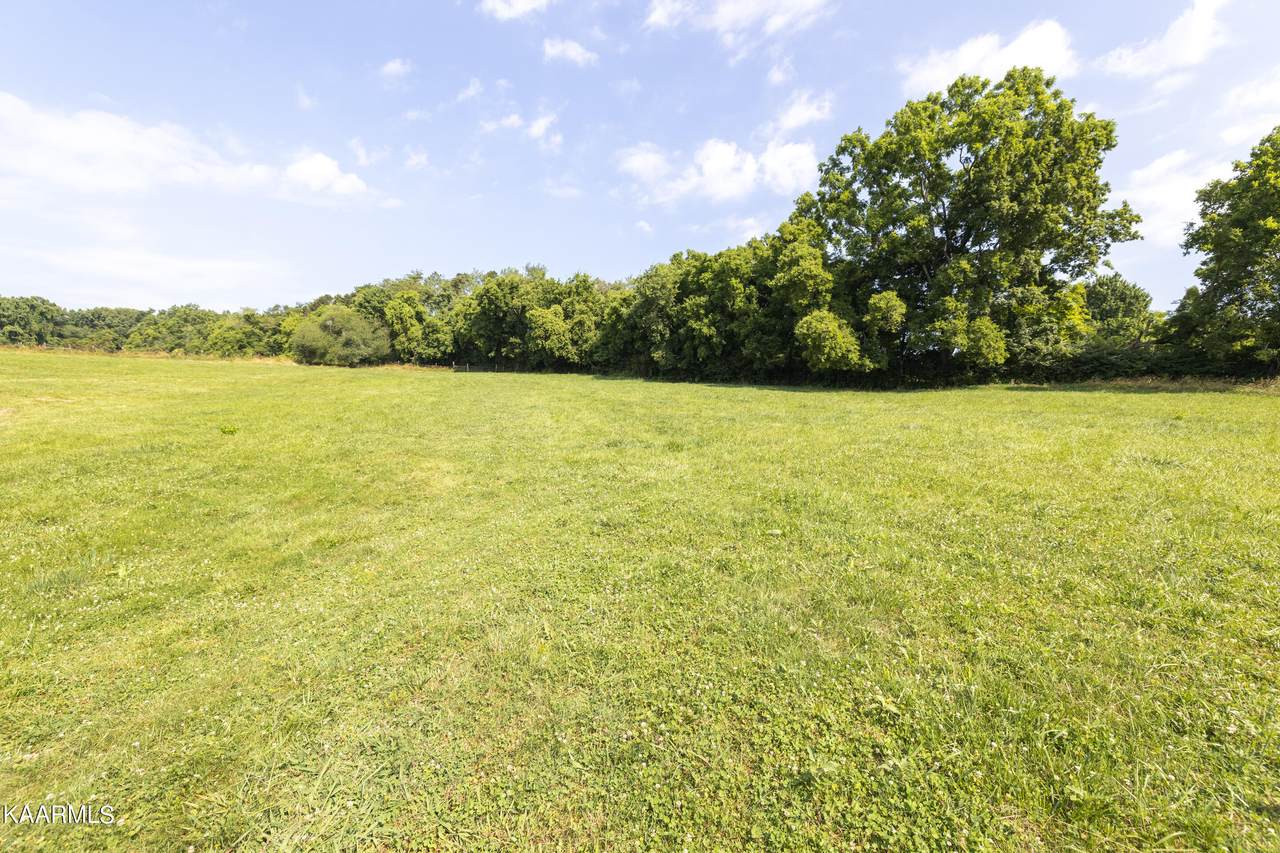 Black Oak Rd - Photo 1