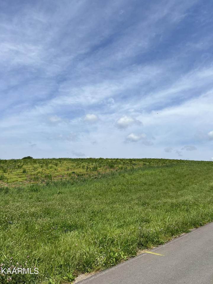 00 Meadow View Rd - Photo 1