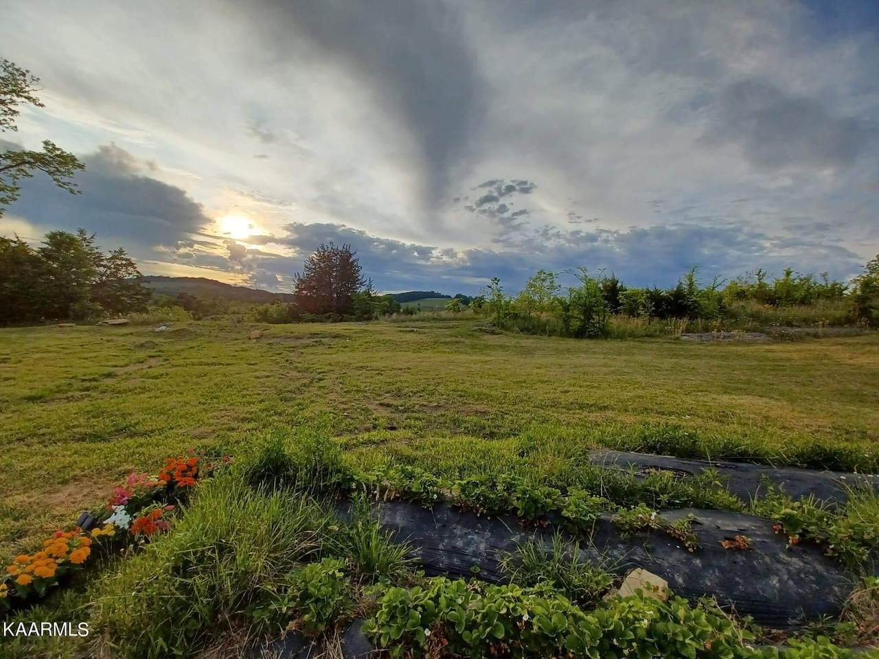 2366 Tn-131 - Photo 1