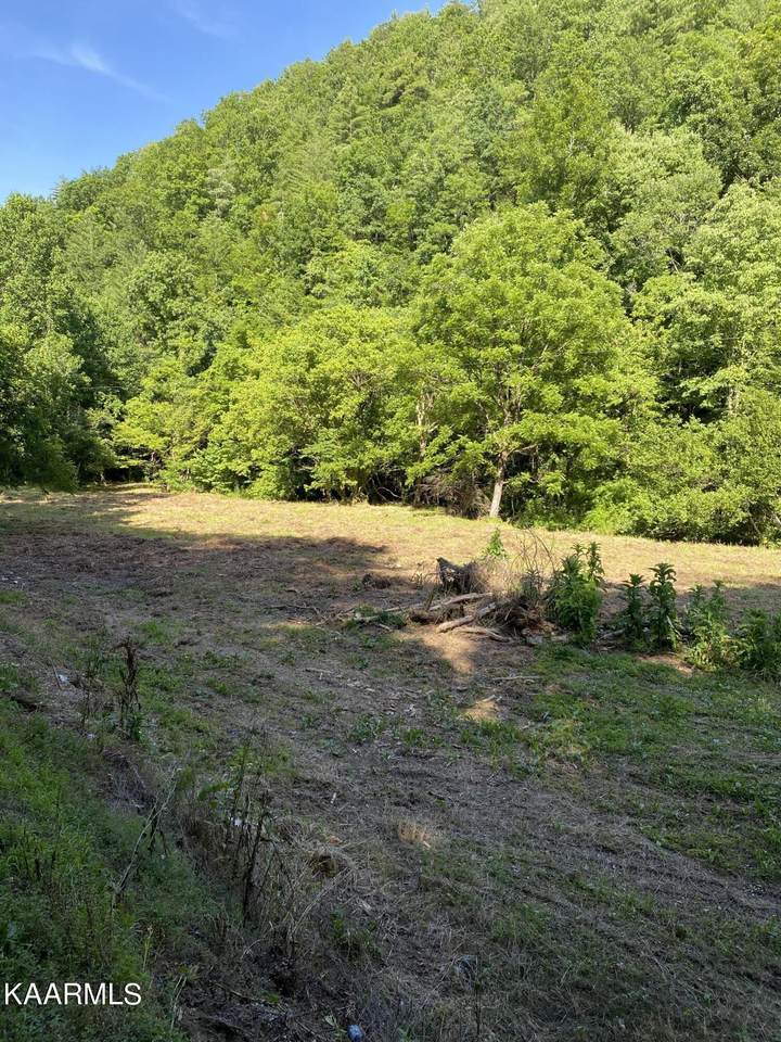00 Chestnut Valley Rd - Photo 1