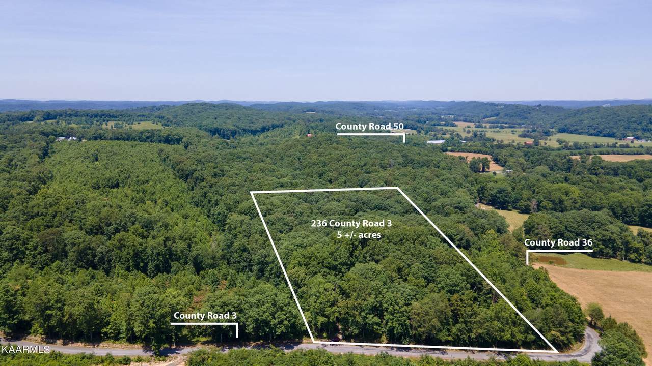 236 County Road 3 - Photo 1