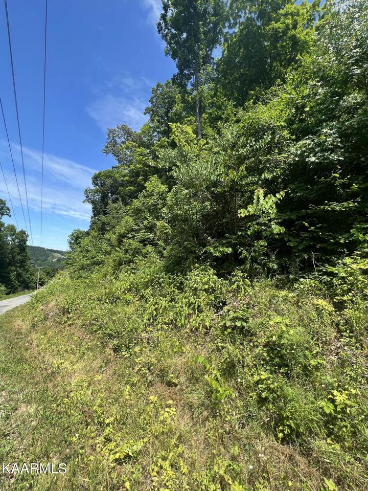 Stiner Rd - Photo 1