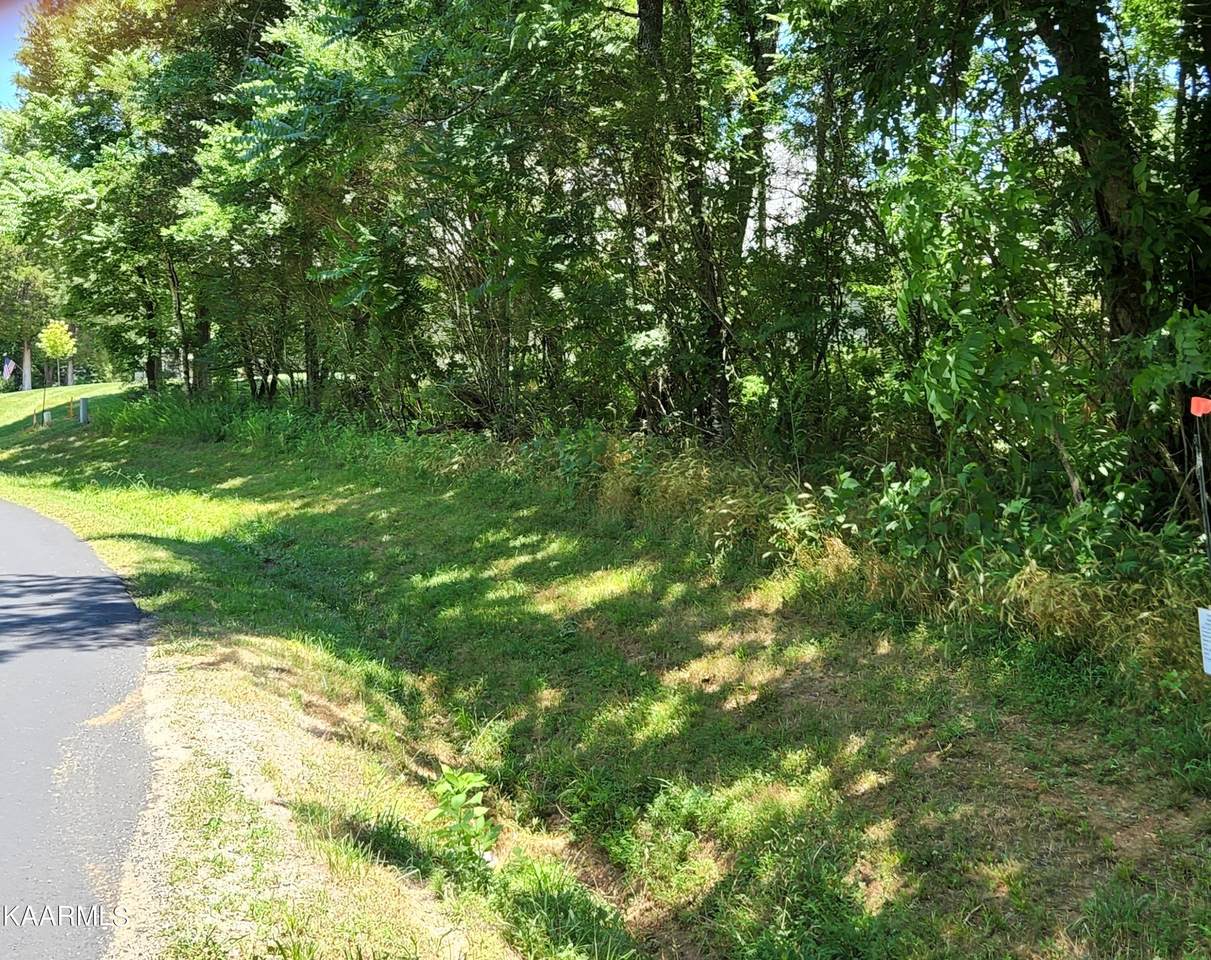 109 Dudi Trail Tr - Photo 1