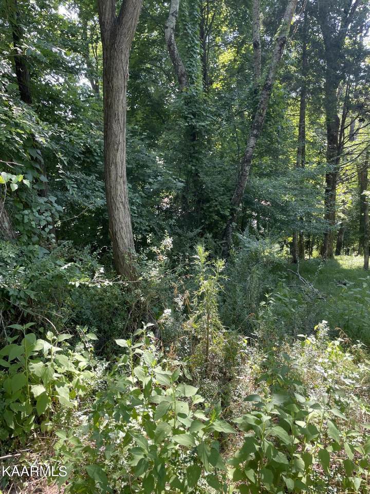 Lot 33 Cherokee Circle - Photo 1