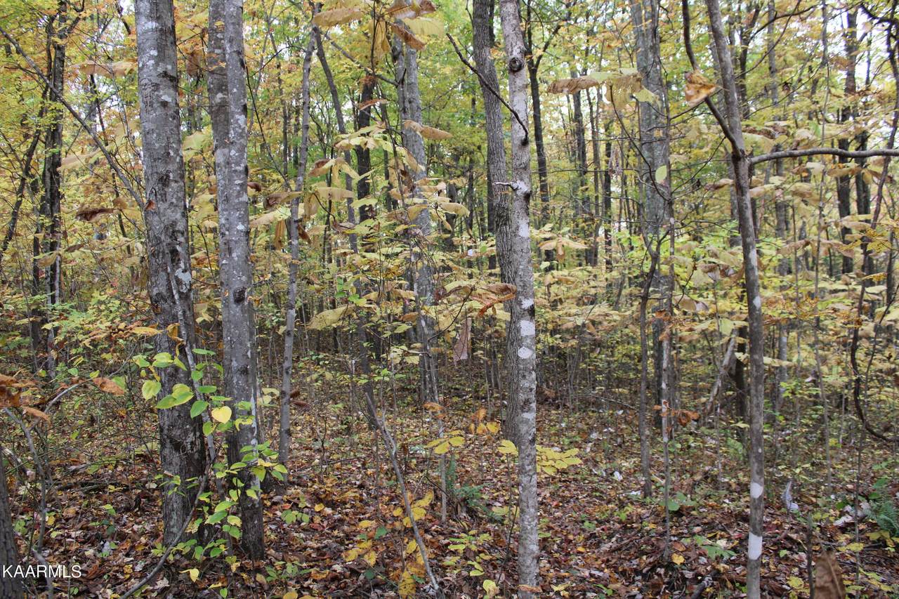 Darrow Ridge Rd - Photo 1