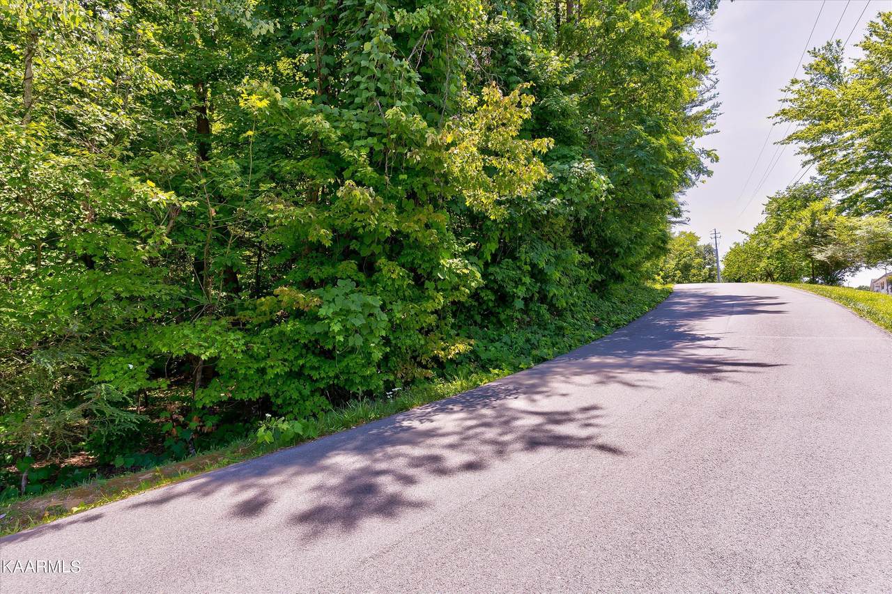 Lot 16 Marshall Lane - Photo 1