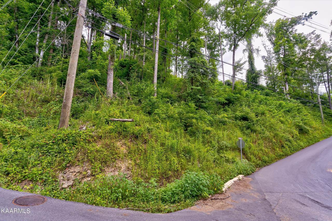 Lot 28 Silverbell Heights Lane - Photo 1